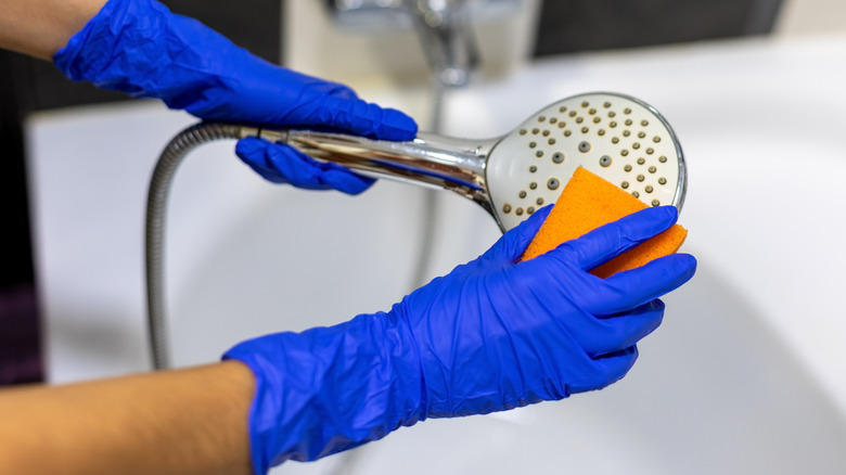 A person cleaning a showerhead with a sponge