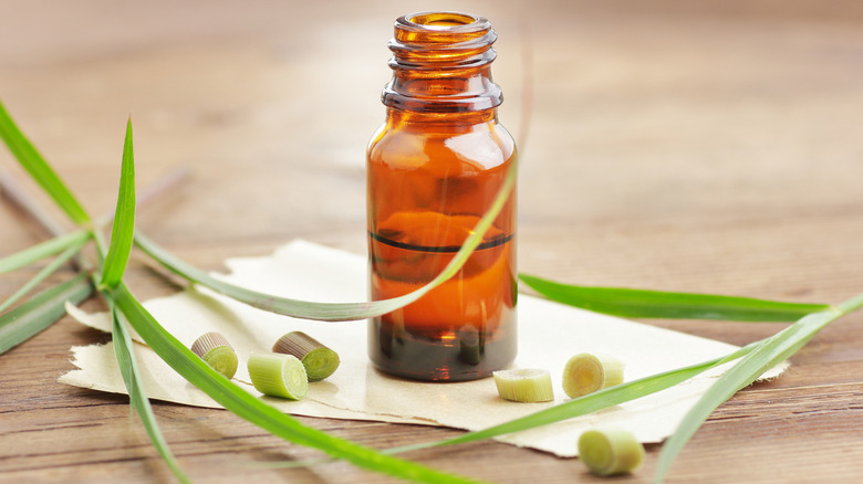 A bottle of lemongrass essential oil