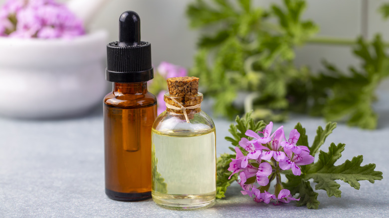 Bottle of geranium essential oil with flowers