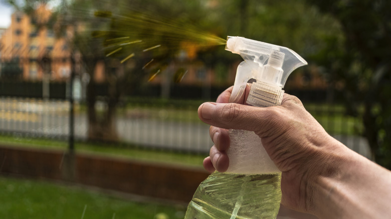 close-up of a hand spraying a mixture in a spray bottle outside