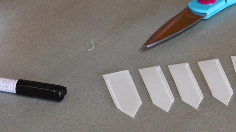 DIY plant labels made from a milk jug