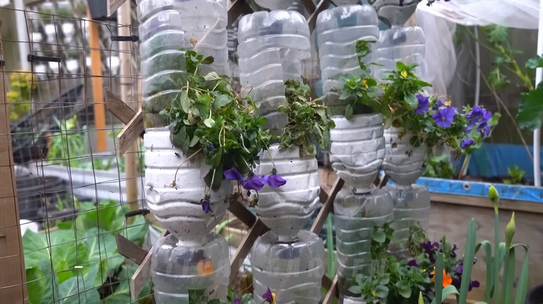 DIY vertical garden made with plastic bottles