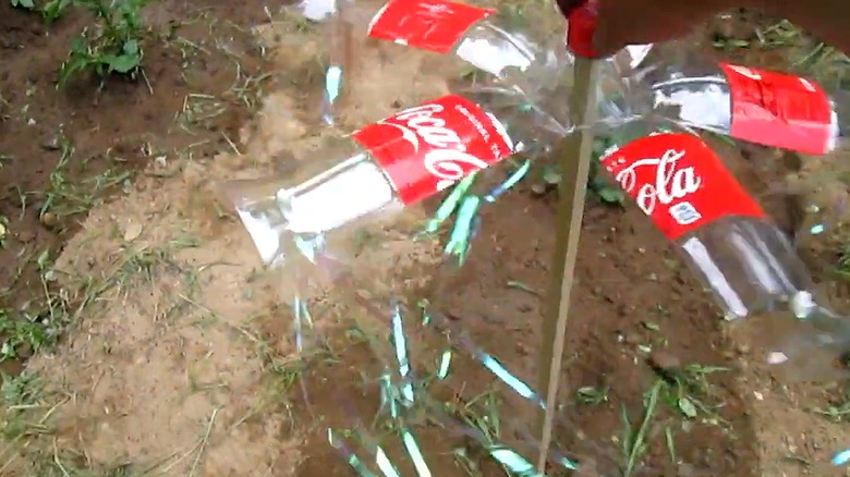 A DIY bird scare made from a 2-liter Coke bottle