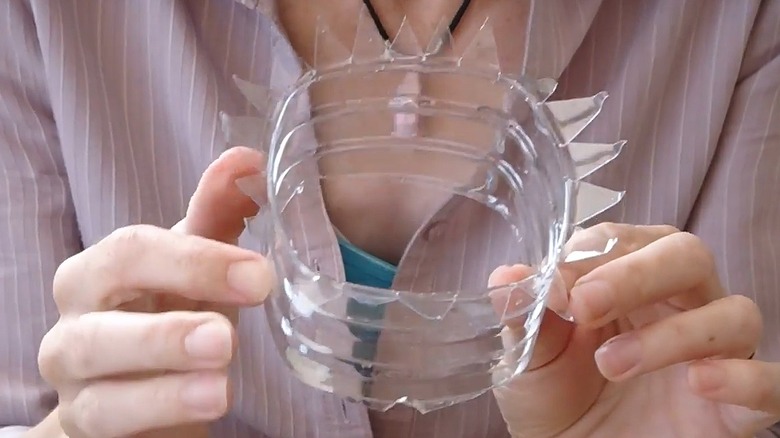 A DIY plant collar made from plastic container