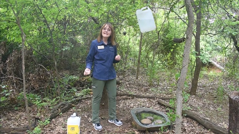 A DIY drip bird bath made with a kitty litter container