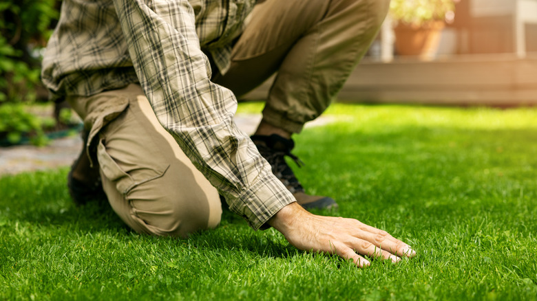 Kneeling man touching the grass on a lawn