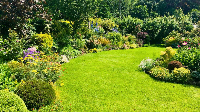Lush, manicured green lawn with landscaping bushes on each side