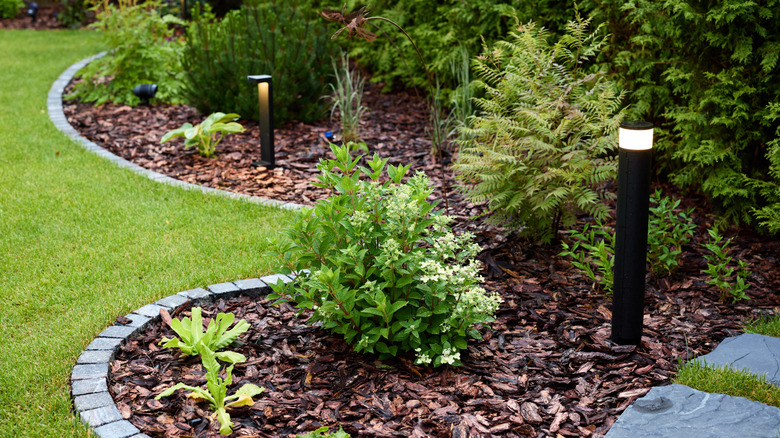 Black lights placed in a backyard garden