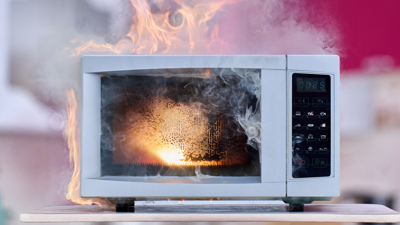 Fire starting in a microwave