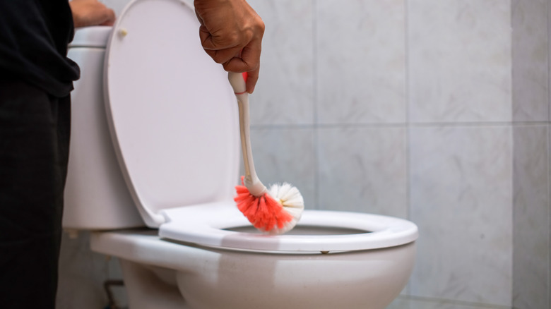 a person cleans a toilet with a brush