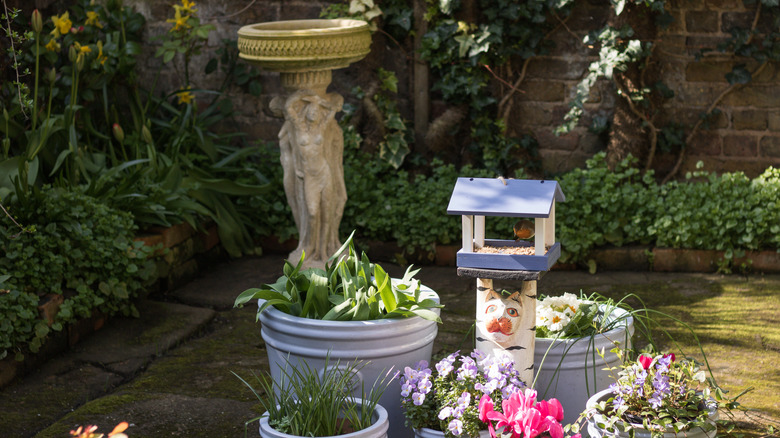 A small bird at a feeder with an empty stone birdbath sitting nearby in a garden
