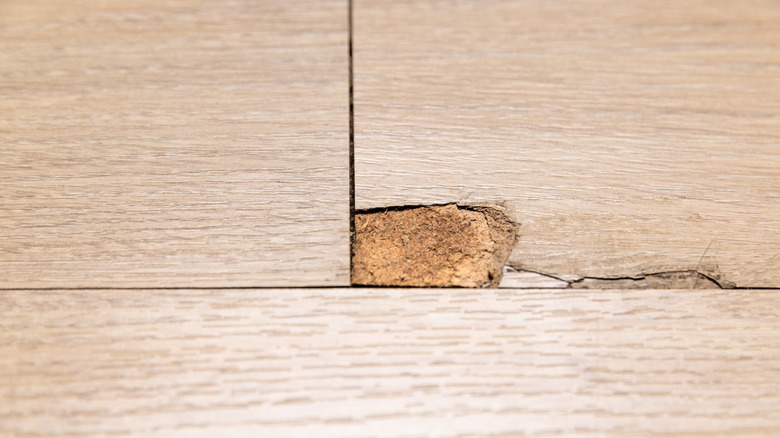 Closeup of damaged click-lock laminate flooring