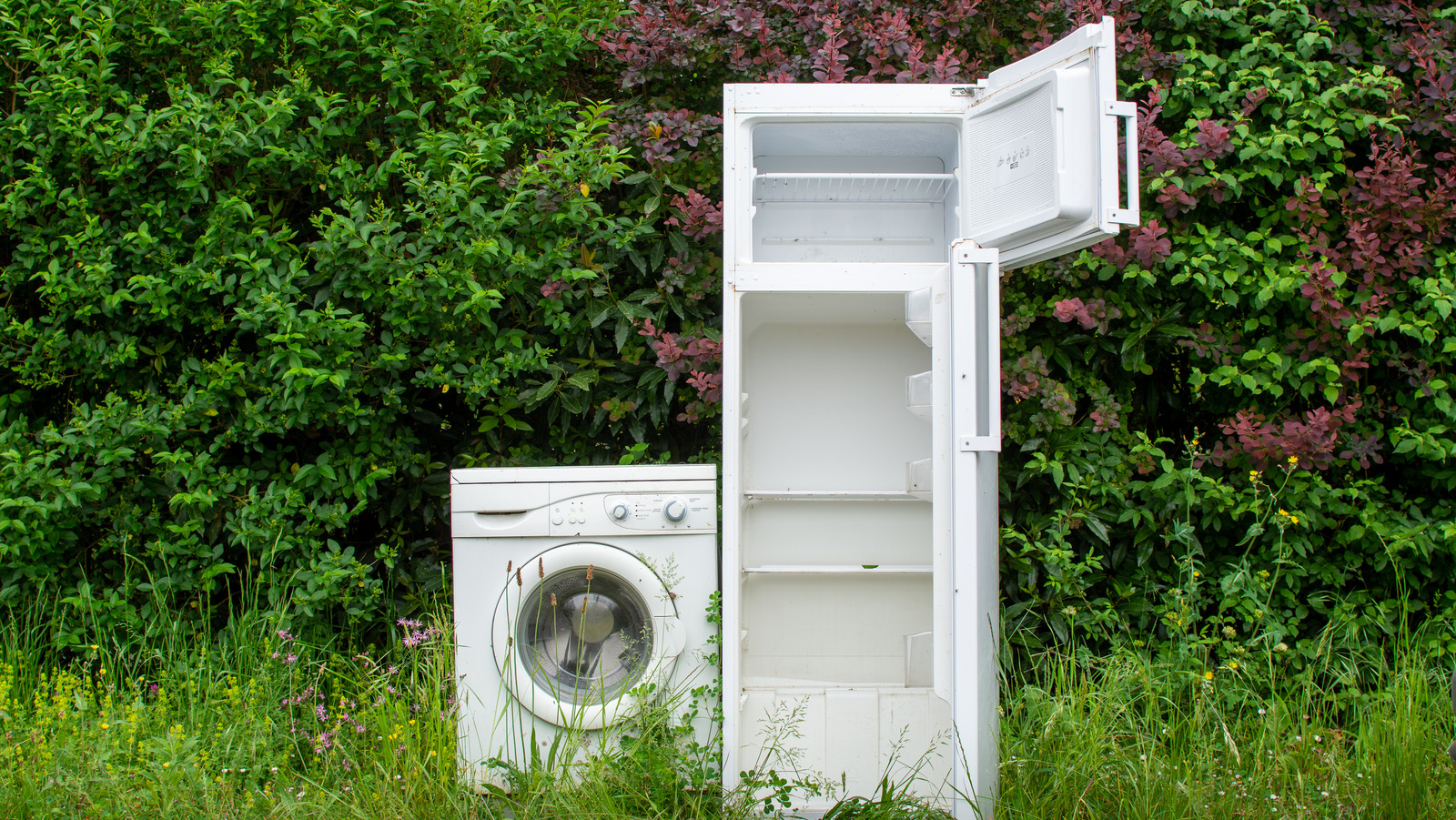 We buy used appliances near me