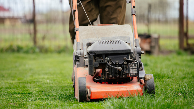 Person pushing lawn mower on green grass
