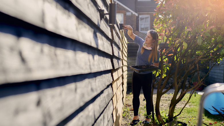 Man painting stain on a wood fence