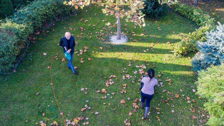 A man and woman maintaining their lawn in autumn