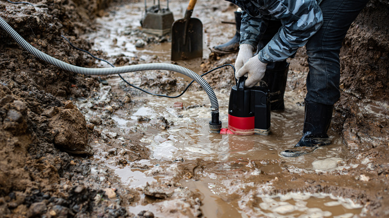 Pumping standing water out of a puddle in a yard