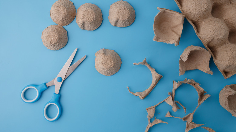 Cut pieces from an egg carton and blue scissors