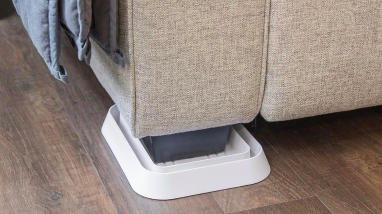 Bed bug interceptor placed beneath sofa leg
