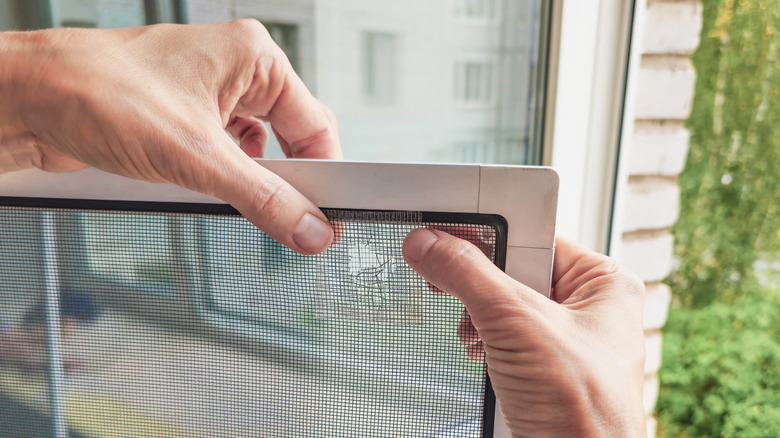 Man repairing window screen with patch