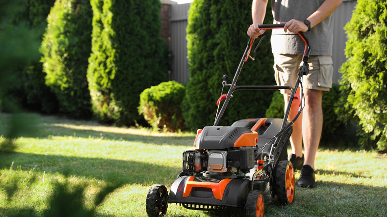 Person mowing dry lawn while sun is out