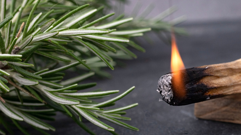 Burning flame next to rosemary herb