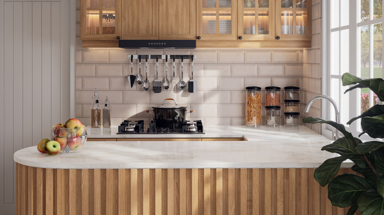 Small modern kitchen space with tidy countertop