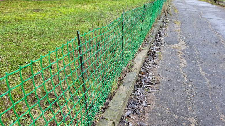 A mesh fence in a yard