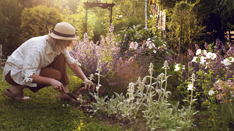 Female gardener tending to flower beds
