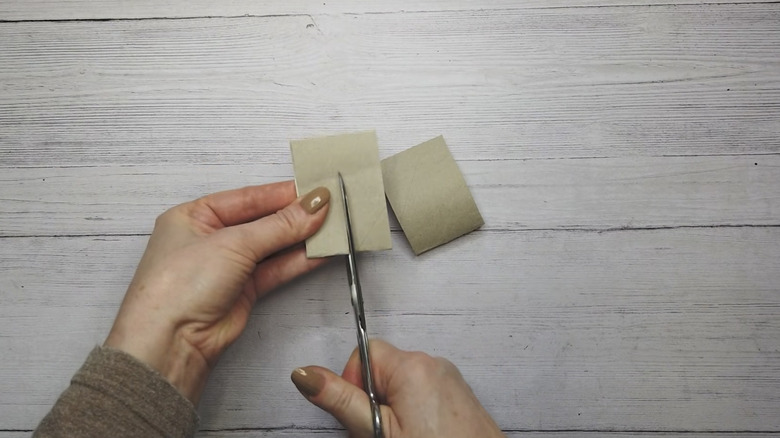 hands cutting toilet paper tube with scissors