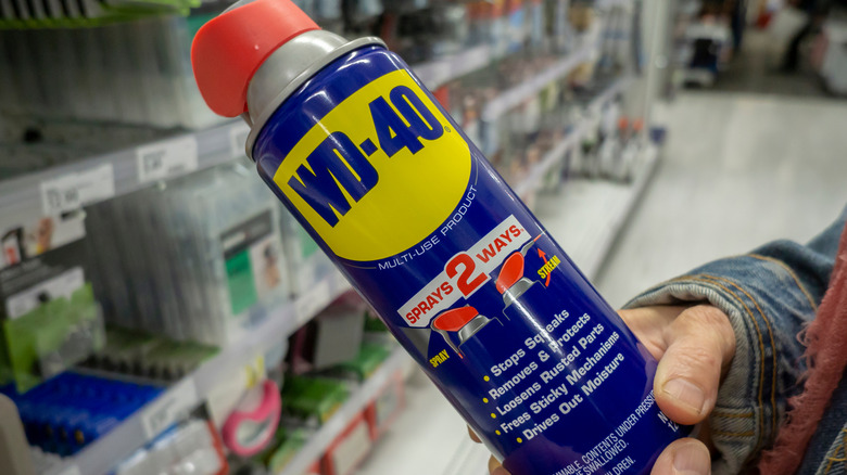 Hand holding a can of WD-40 in a store