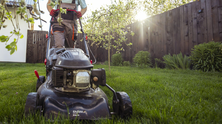 Low-angle photo of a person mowing a backyard lawn.