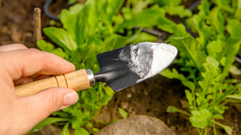 Individual holding a spade full of baking soda