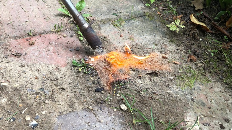 Torch flame burning weeds growing through cracks in concrete