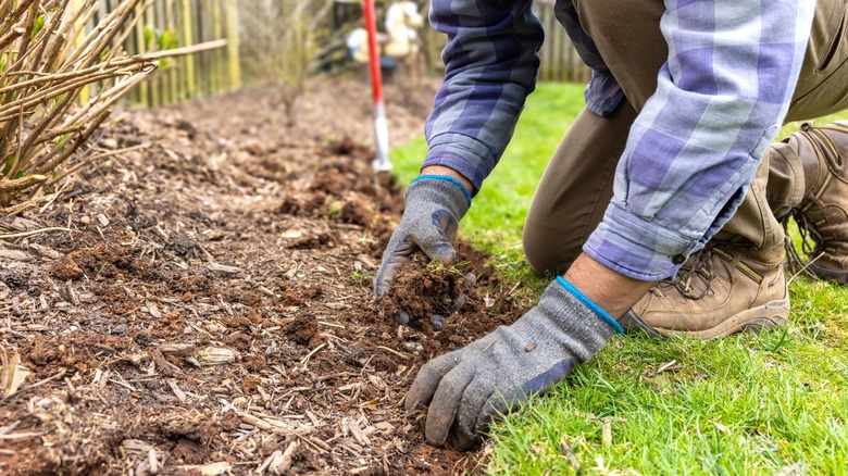 Person digging along a garden border to prep it for edging