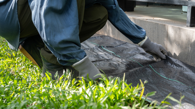 Person spreading landscape fabric over the ground