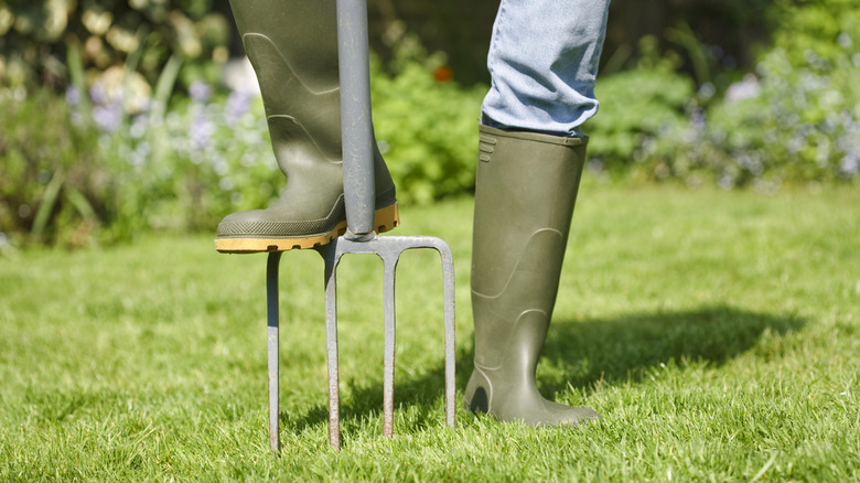 Person poking garden fork into the grass