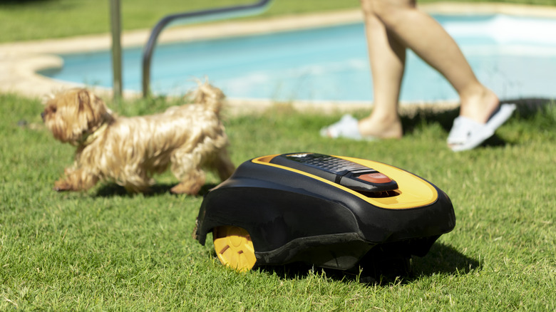 Robot mower with a person and a dog in the background.
