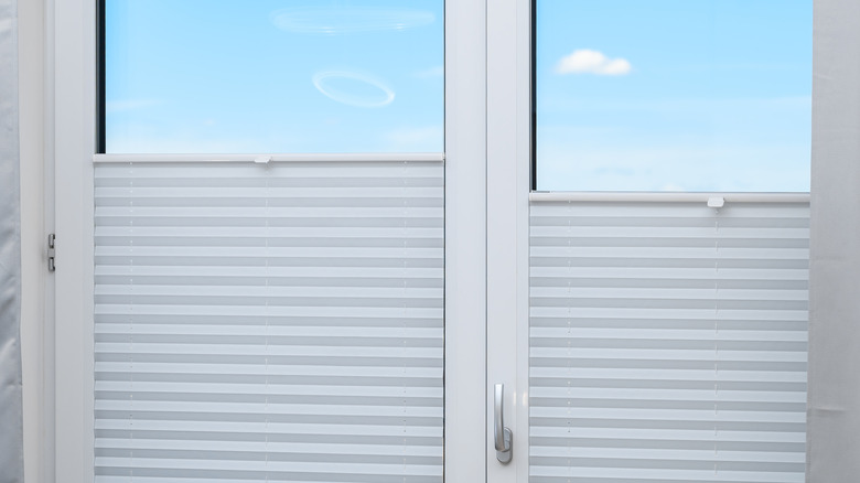 glass double door with top down bottom up cellular shades partially open