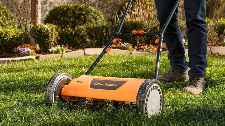 A LawnMaster LMRM1602 Push Reel Lawn Mower 16-Inch being used on grass