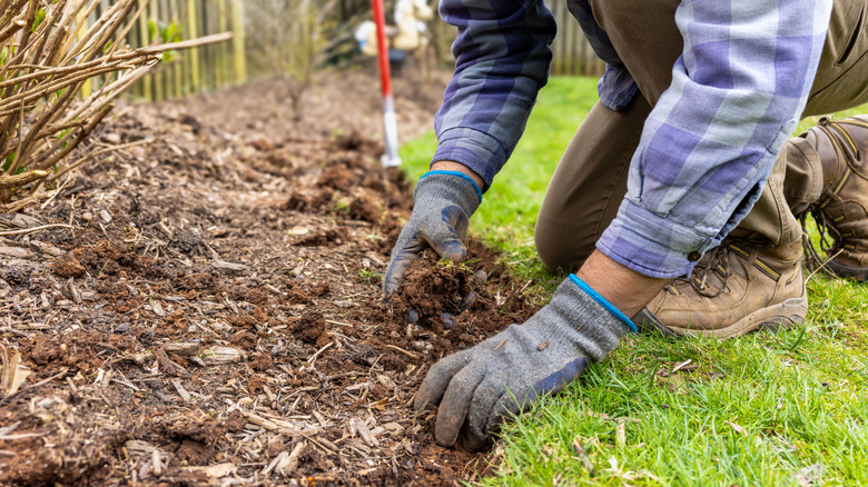 Person adding mulch to a flower bed