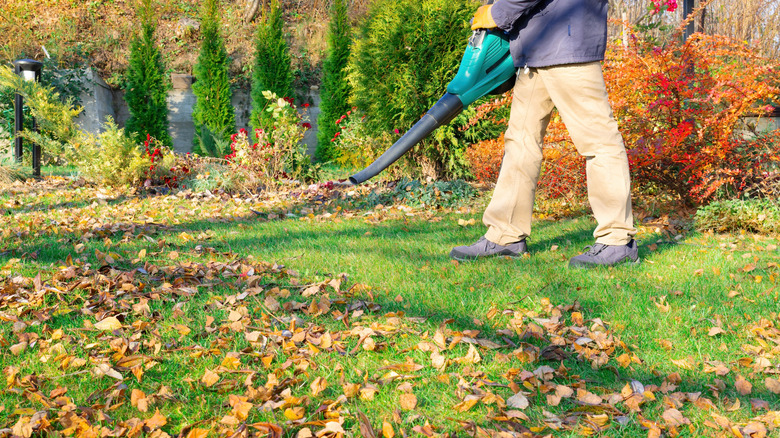 a gardener uses a leaf blower in their yard