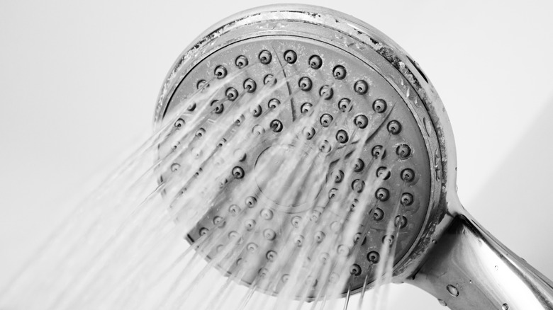 Close-up of a metal shower head showing some limescale build up.