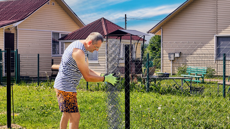 A man looks at a chain link fence in a yard