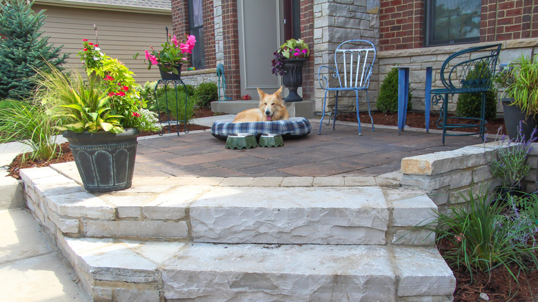 A dog is lounging on its bed atop a contemporary limestone patio