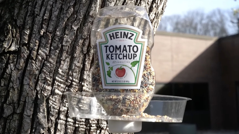 ketchup bottle bird feeder DIY