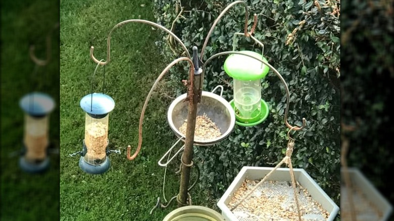Various bird feeders and upcycled kitchen products hanging on outdoor metal bird feeder pole in home yard