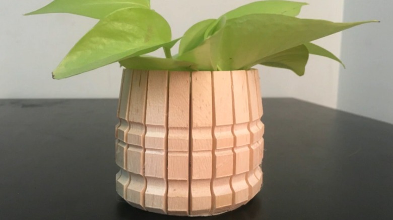 A finished clothespin planter with a plant inside.