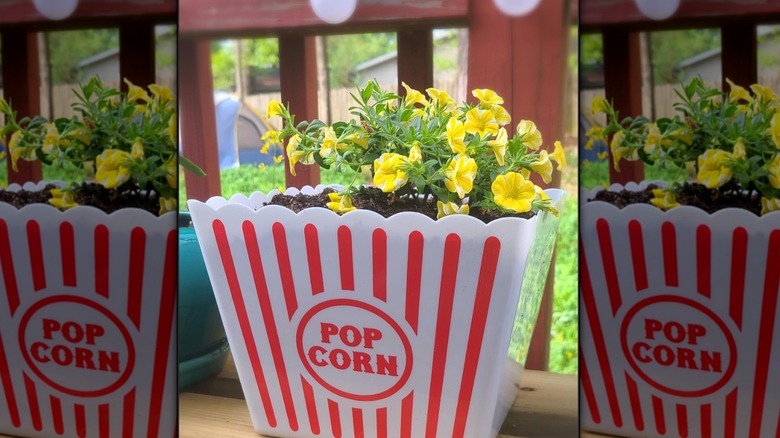 Larger Dollar Tree bucket used as flower pot with yellow flowers sitting on a porch