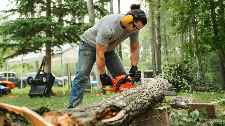 man sawing fallen tree